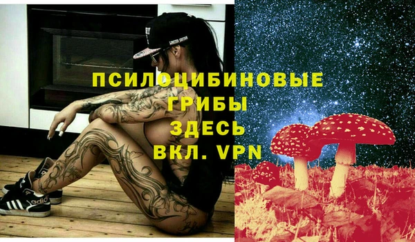 дмт Алексин